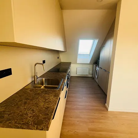 New Sunny Rooftop With A Terrace 10-15 Minutes Drive From Centre * Praag
